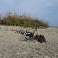 Debra Kessler Photo 29