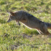 Nick Hunt Photo 29
