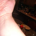 Derek Block Photo 21