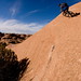 Craig Lorence Photo 3