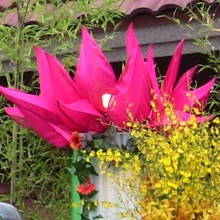 Elizabeth Scarbrough Photo 11