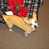 Evelyn Pierson Photo 4