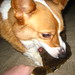 Harry Welsh Photo 31
