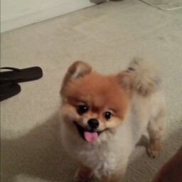 Tia Fevry Photo 1