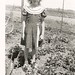 Cheryl Young Photo 53