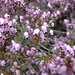 Heather Richmond Photo 21