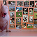 Rudy Chan Photo 20