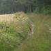 Theresa Wheat Photo 22