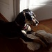 Theodore Baxter Photo 11