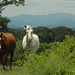 Kimberly Stephenson Photo 23