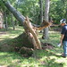 Laurie Root Photo 15