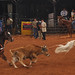 Paul Bogart Photo 10