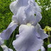 Jane Phillips Photo 46