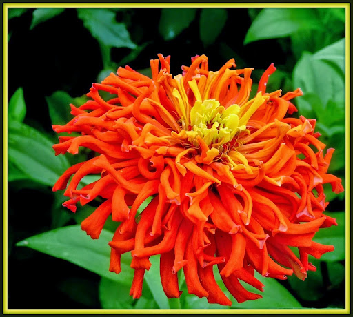 Debra Kerns Photo 6