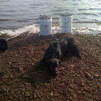 Matthew Misener Photo 8
