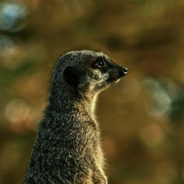 Jonathan Munro Photo 27