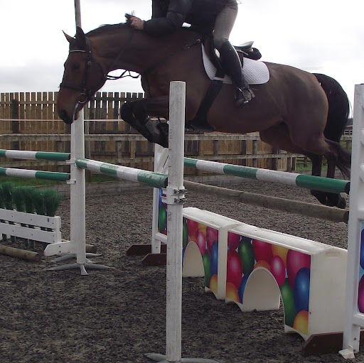 Vikki Evans Photo 23