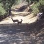 Lori Bishop Photo 22