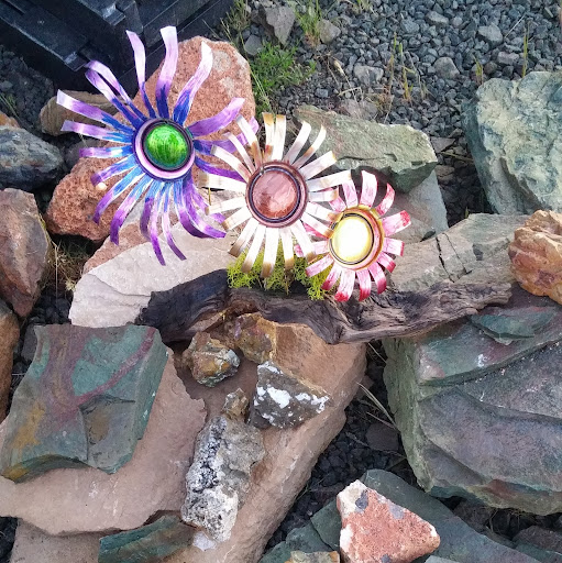 Nancy Mitchell Photo 6