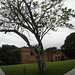 Ricardo Angulo Photo 20