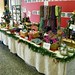 Gregory Craft Photo 7