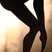 Patti Sweat Photo 8