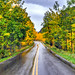 Autumn Bell Photo 37