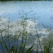 Maureen Long Photo 35