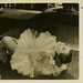 Joan Tully Photo 5