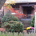 Melvin Maple Photo 9