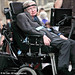 Stephen White Photo 23