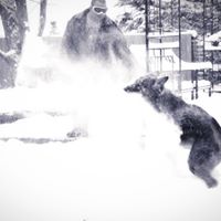 Chris Jensen Photo 38