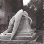 Diane Lowe Photo 35