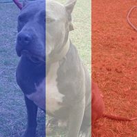 Kelly Banner Photo 13