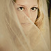 Kimberly Sanderson Photo 8