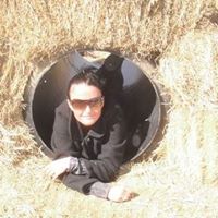 Arthur Wilkinson Photo 5
