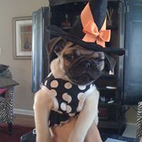 Lola Davidson Photo 9
