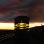 Mark Agee Photo 32