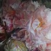 Catherine Hewitt Photo 15
