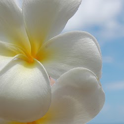 Julie Bright Photo 35