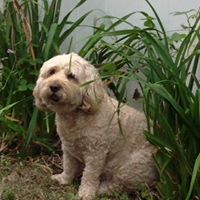 Maryann Corcoran Photo 3