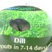 April Dill Photo 14