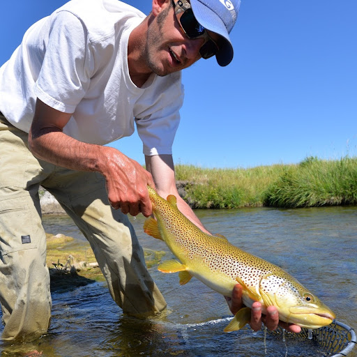 Mark Meissner Photo 18