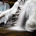 Glen Sharp Photo 13