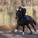 Robert Collet Photo 9