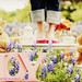 Joy Flowers Photo 22