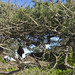 Jason Pine Photo 17