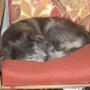 Brenda Willard Photo 12