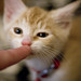 James Christon Photo 9
