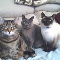 Nancy Clouse Photo 5